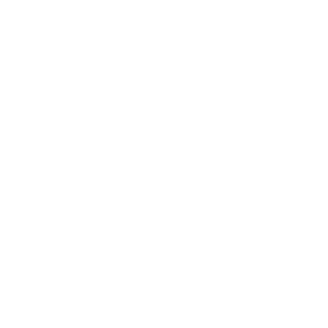 Transdelivery
